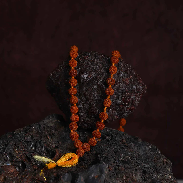Panchamuki Rudraksha mala 108 beads